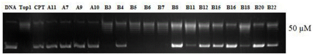 Multi-targeted antitumor active evodiamine derivative and preparation and application thereof