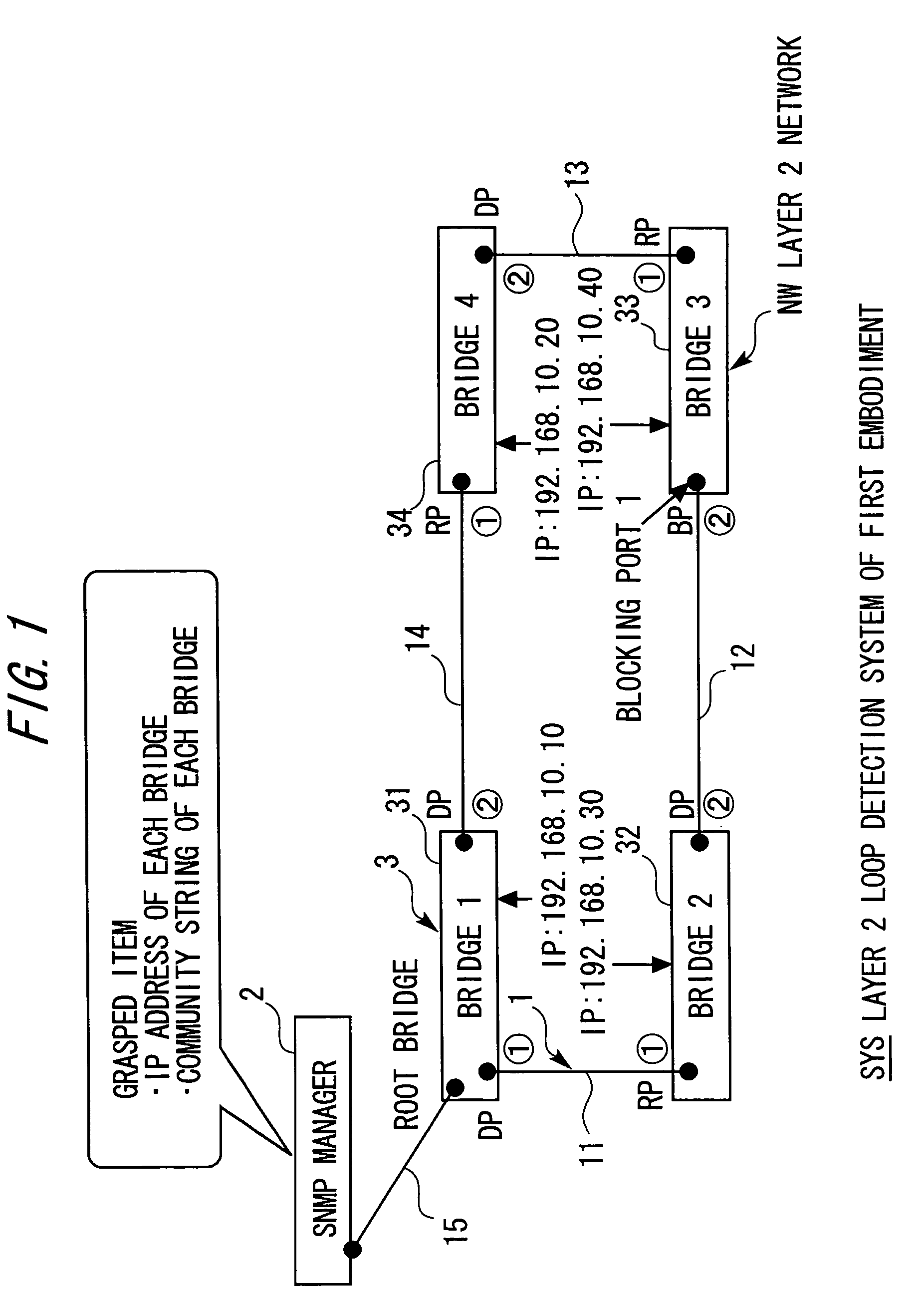 Layer 2 loop detection system