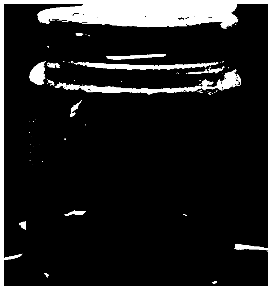 Tissue-culture rapid propagation method for craigia yunnanensis