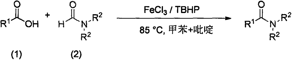 a fecl  <sub>3</sub> Catalytic synthesis of amides