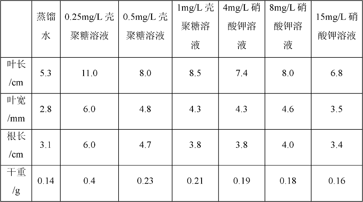 Method for promoting eel grass seeds to germinate and grow