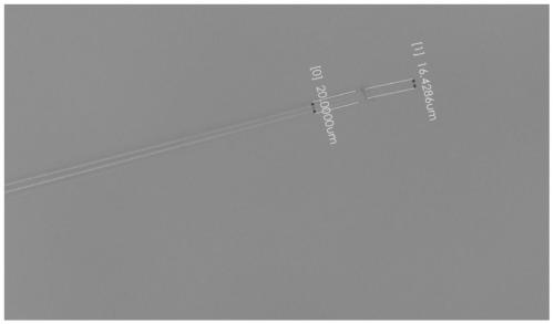 Preparation method of bionic shell material