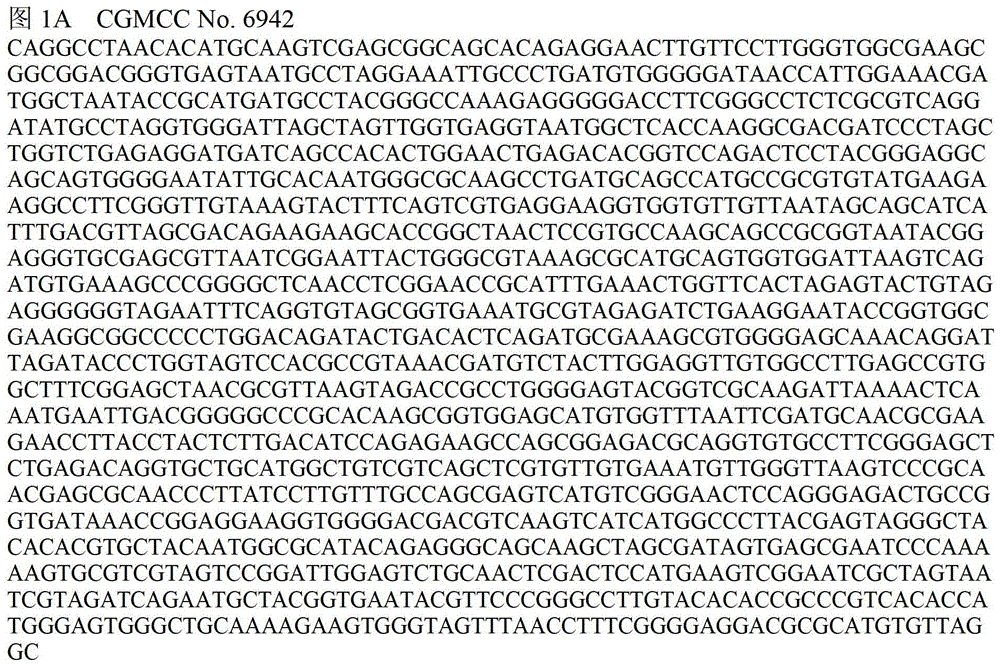 A kind of vibrio anguillarum bivalent vaccine and its preparation and use method