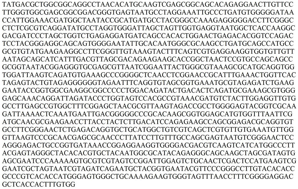 A kind of vibrio anguillarum bivalent vaccine and its preparation and use method