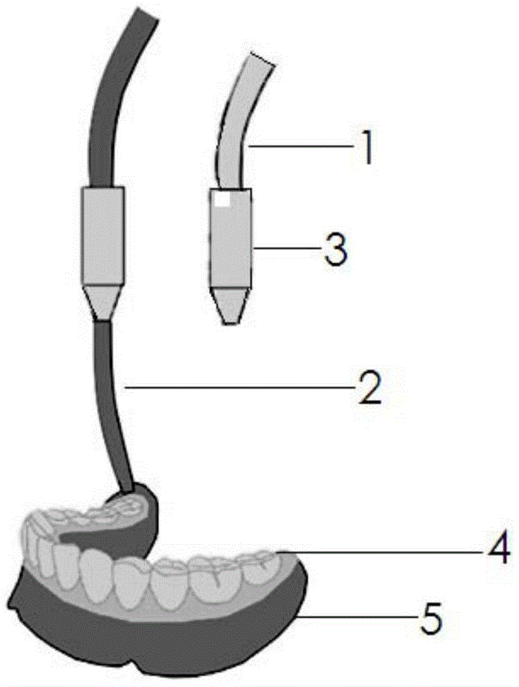 An integrated rapid prototyping method for a multicolor resin denture restoration