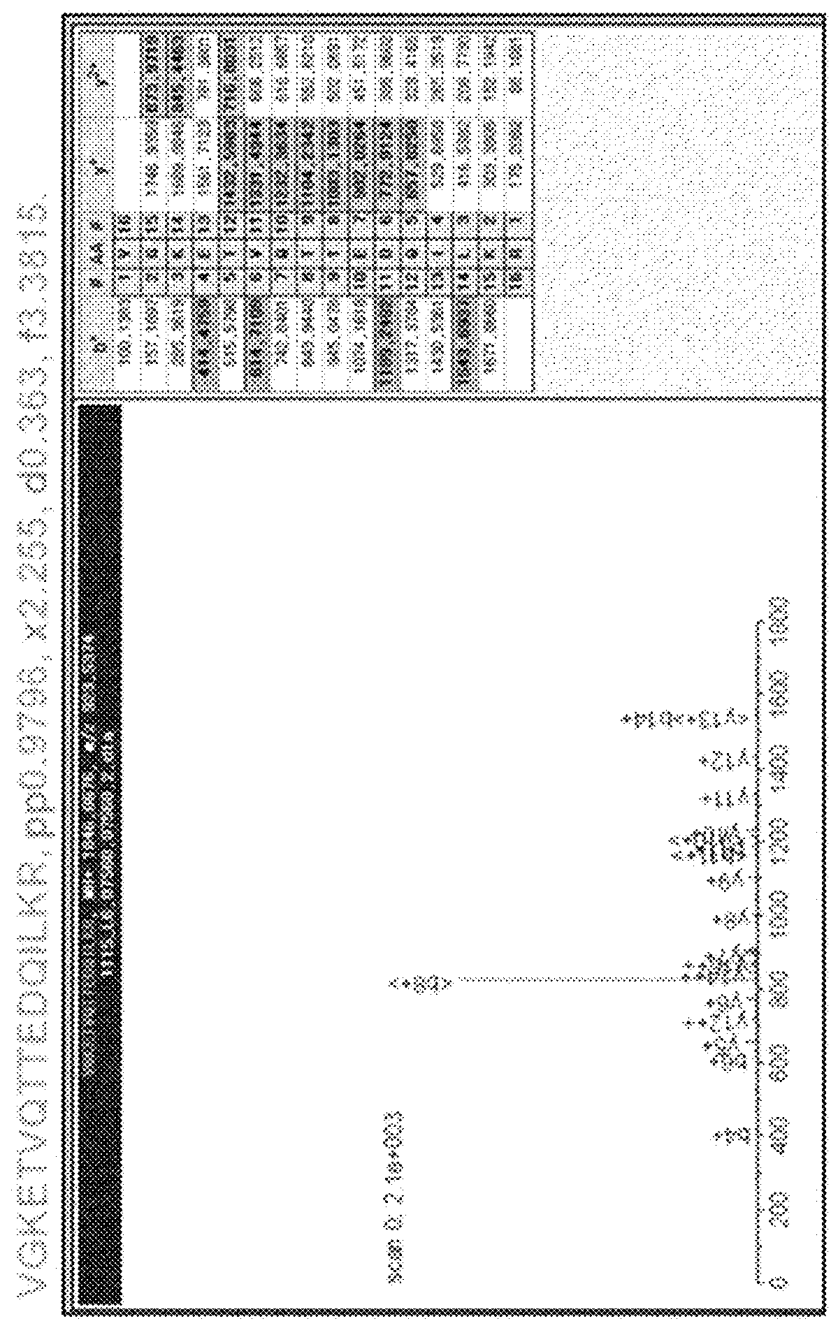 Marker for diagnosing age-related macular degeneration, and method for diagnosing age-related macular degeneration by using same