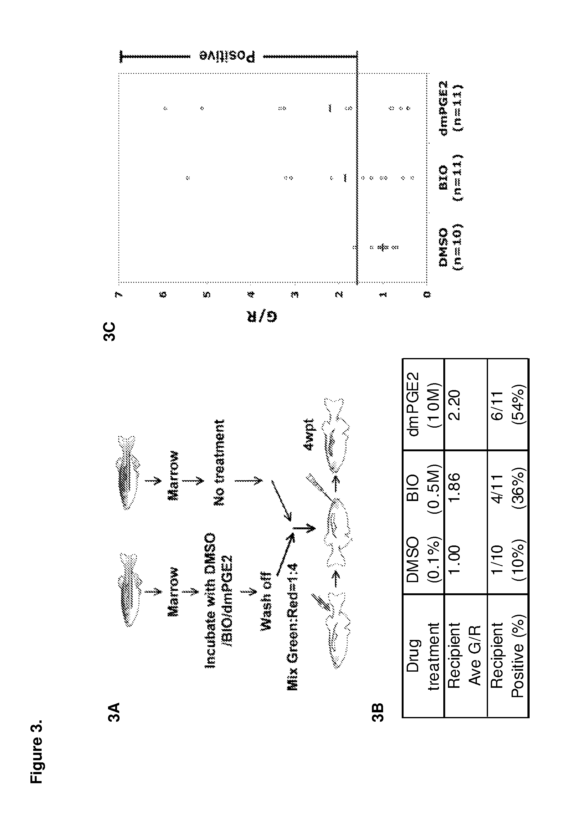 Methods for enhancing hematopoietic stem/progenitor cell engraftment