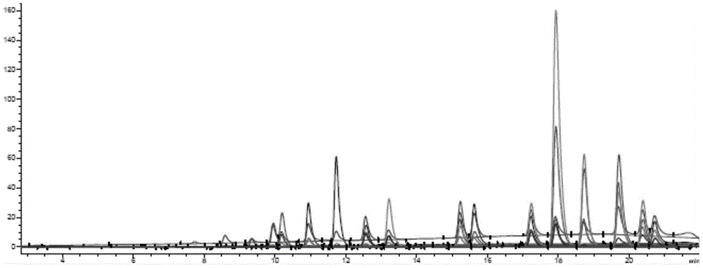 Method for rapidly concentrating 16 polycyclic aromatic hydrocarbons in water