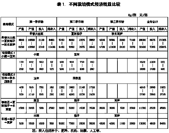 Spring Chinese cabbage, summer-autumn eggplant and autumn-winter asparagus lettuce three-season-in-one-year anti-season vegetable efficient cultivation method