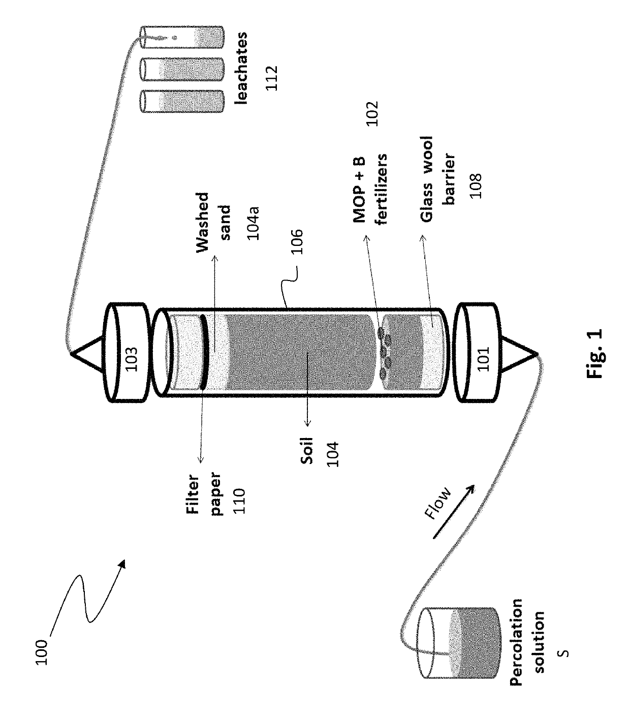 Fertilizers containing slow and fast release sources of boron