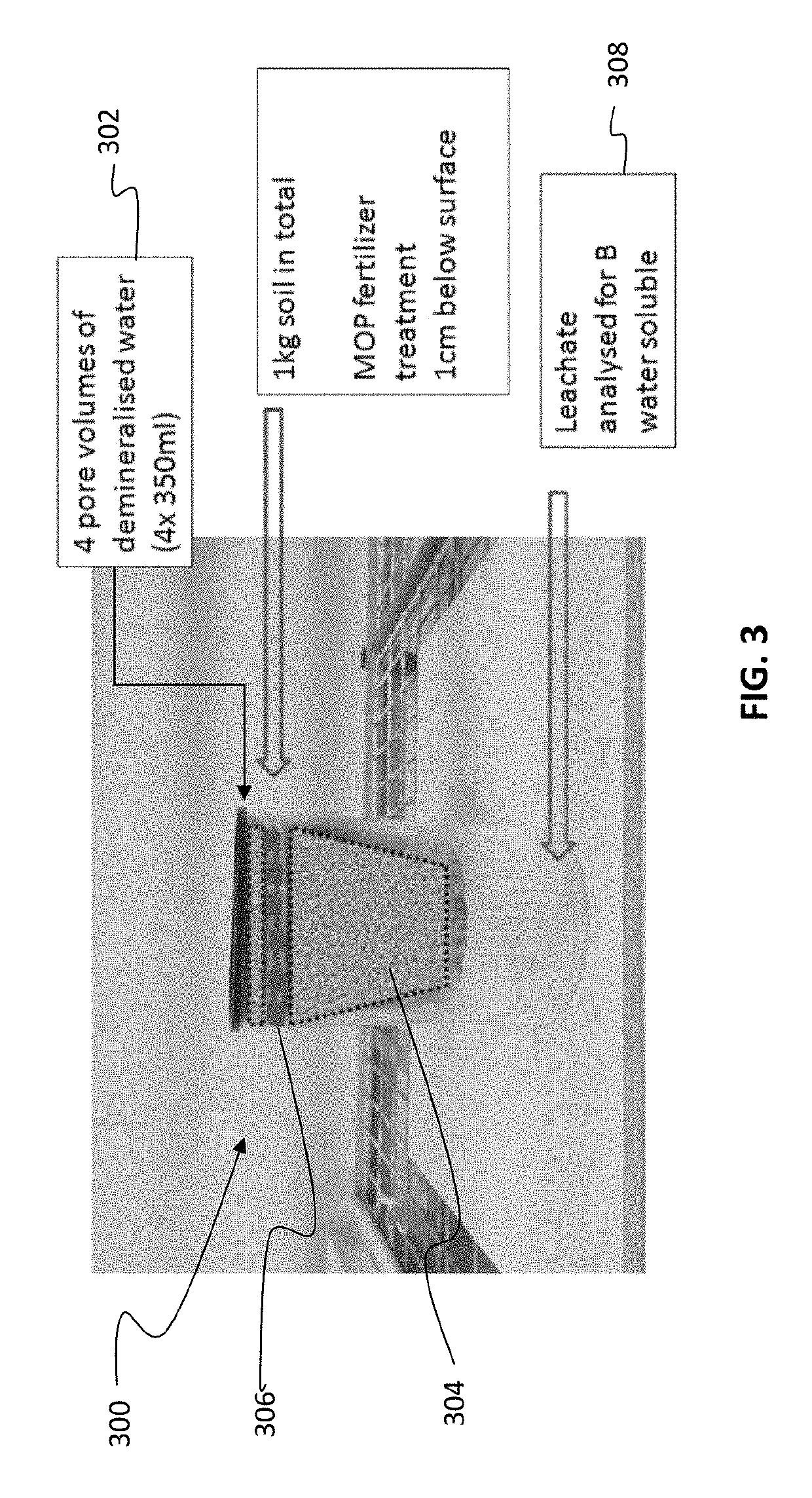 Fertilizers containing slow and fast release sources of boron