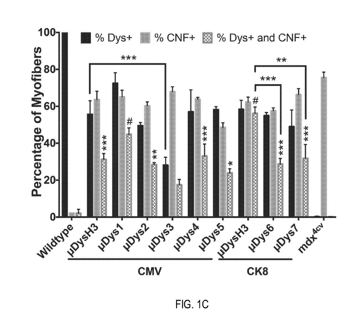 Novel micro-dystrophins and related methods of use