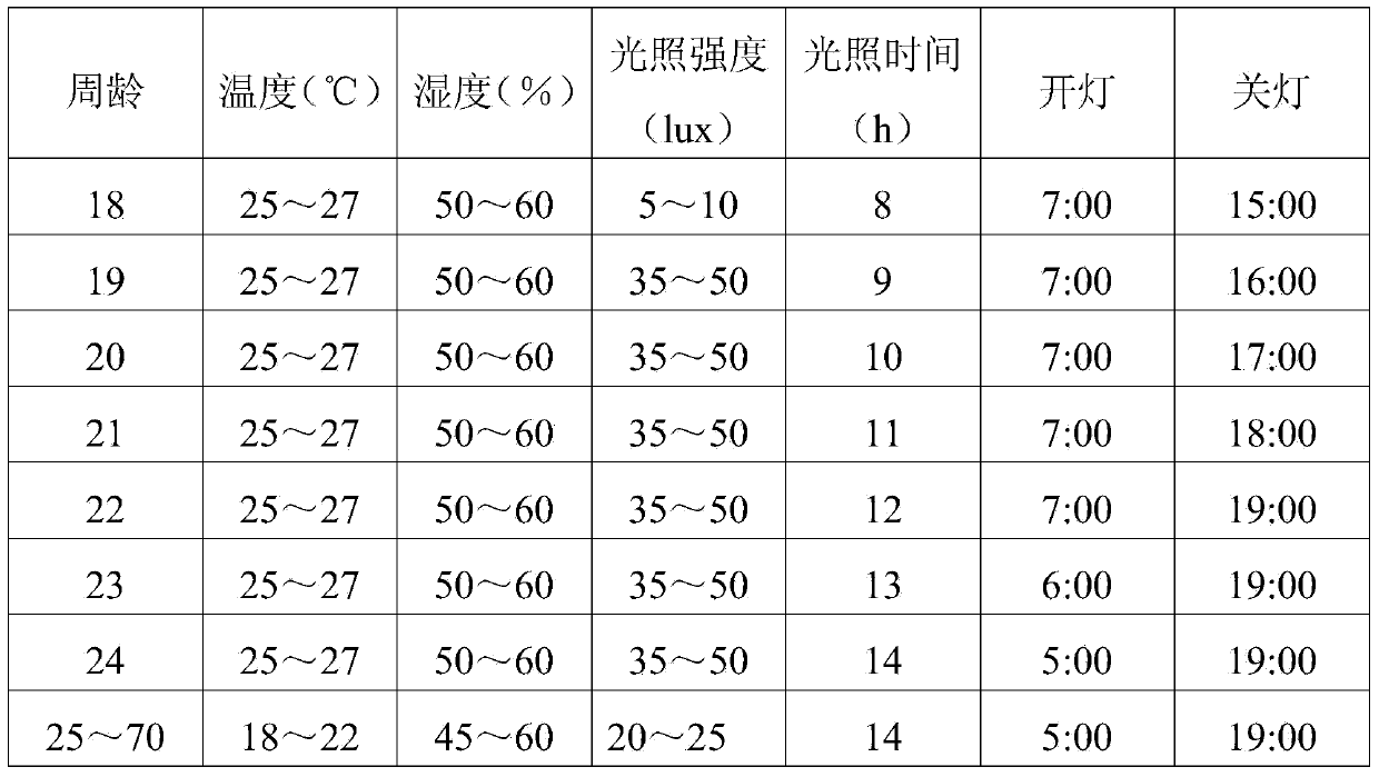 Production technology of SPF (specific pathogen free) chickens