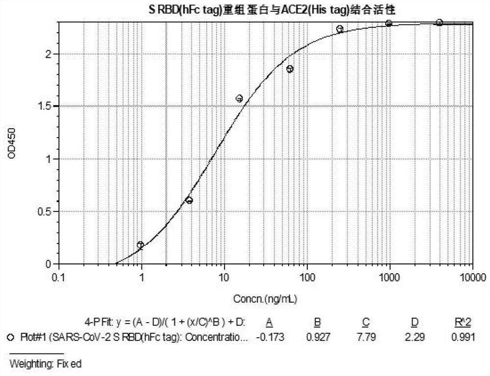 A SARS-CoV-2 virus S protein receptor binding region encoding gene, antibody and application