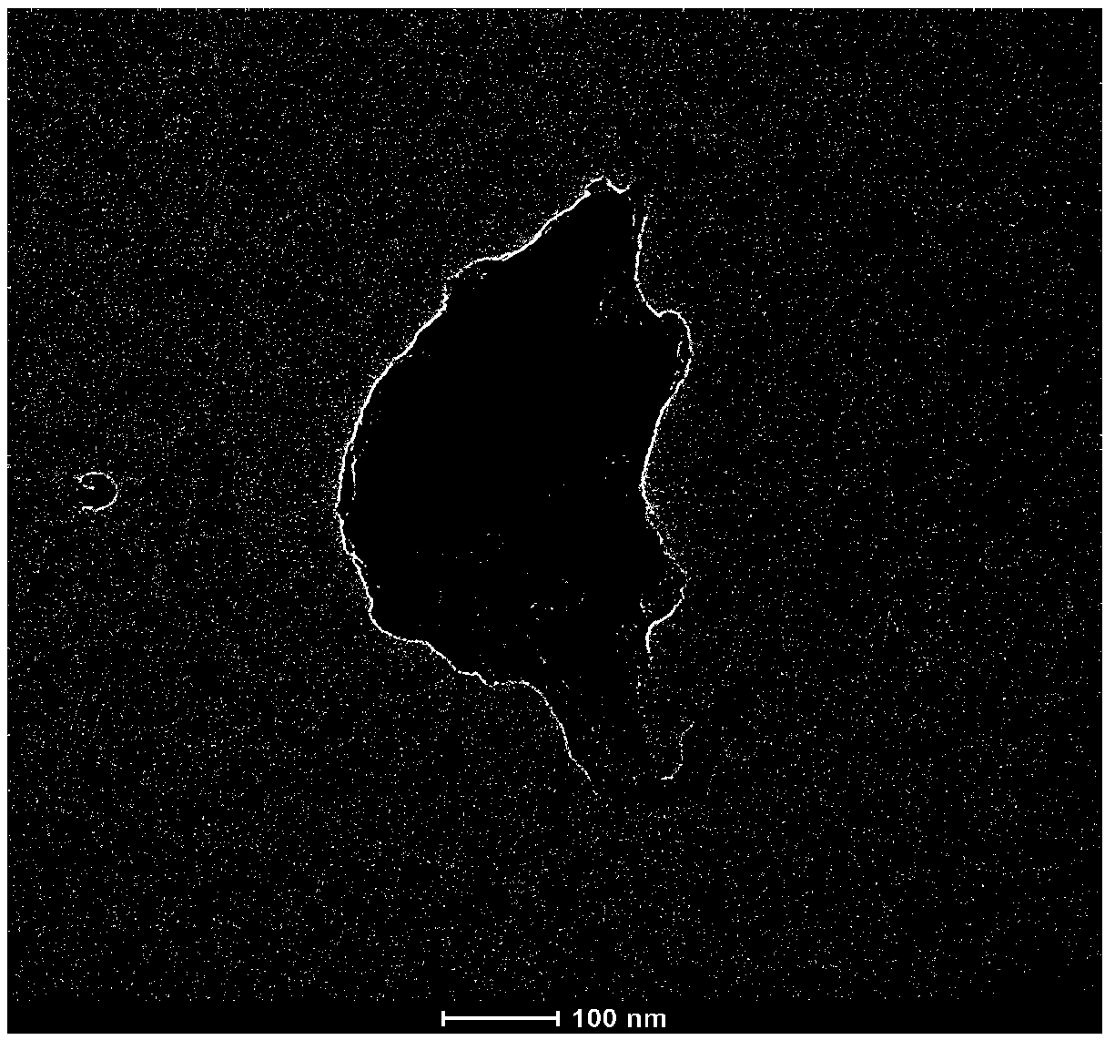 Noble metal loaded nitrogen-doped bacterial cellulose as well as preparation and application thereof