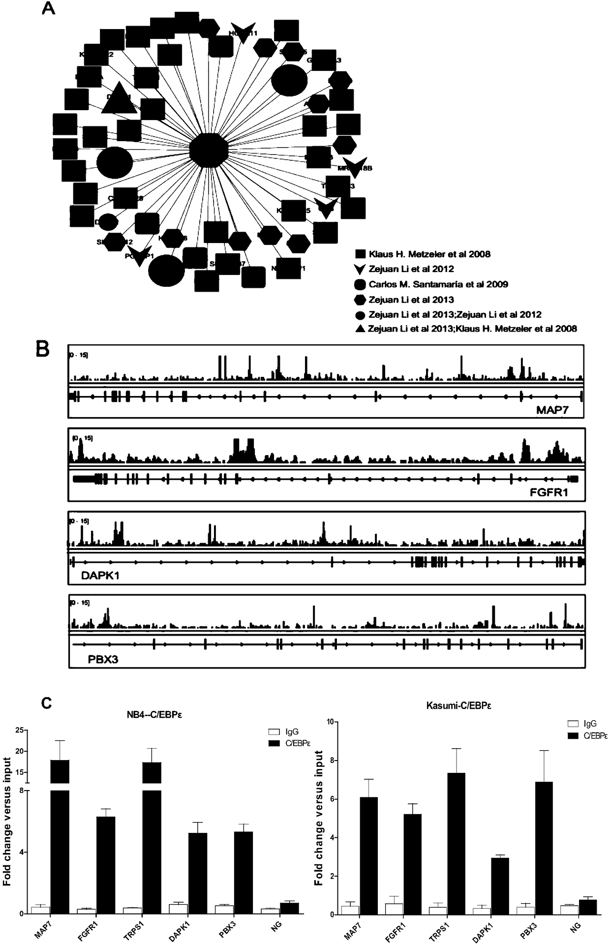 Genetic marker for risk assessment on AML (acute myelogenous leukemia) and application of genetic marker