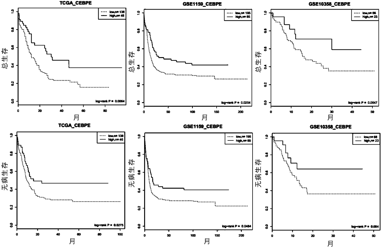 Genetic marker for risk assessment on AML (acute myelogenous leukemia) and application of genetic marker