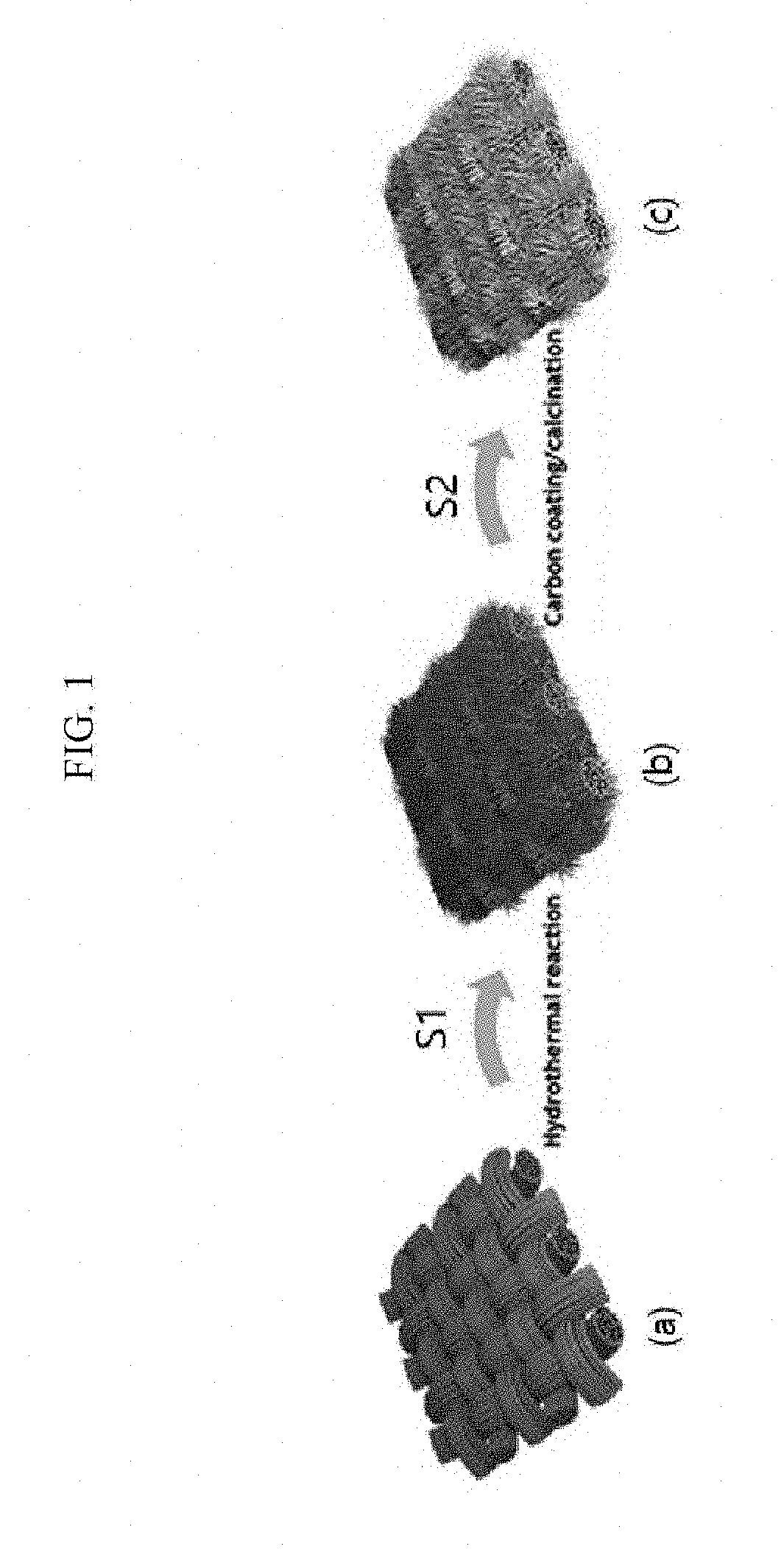 Catalyst electrode for oxygen evolution and method for preparing the same