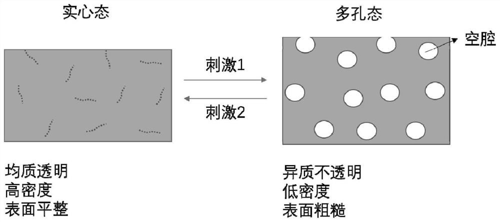 Reversible dynamic macroporous elastomer polymer material and its preparation method and application