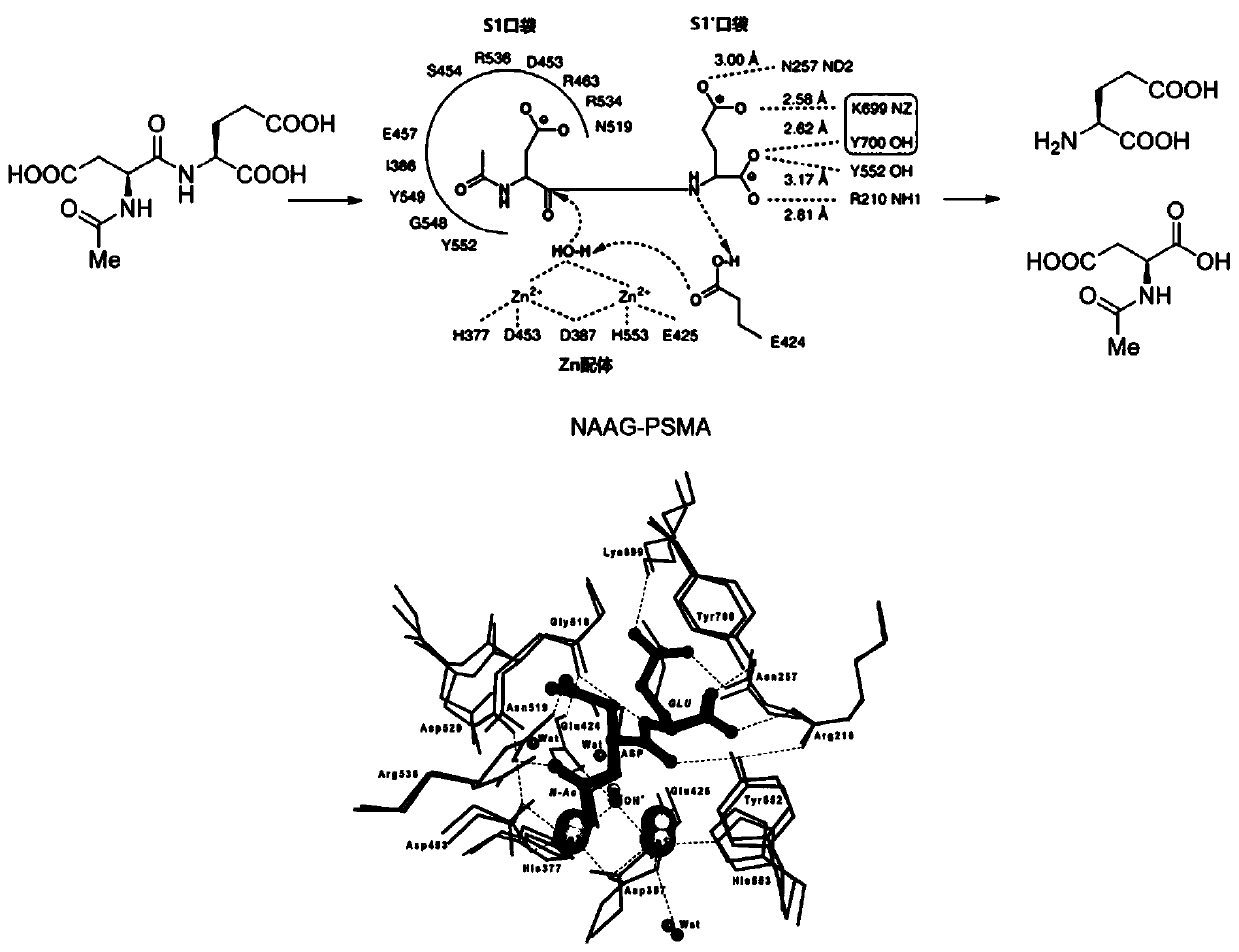 PSMA (Prostate-Specific Membrane Antigen) inhibitor, compound and application