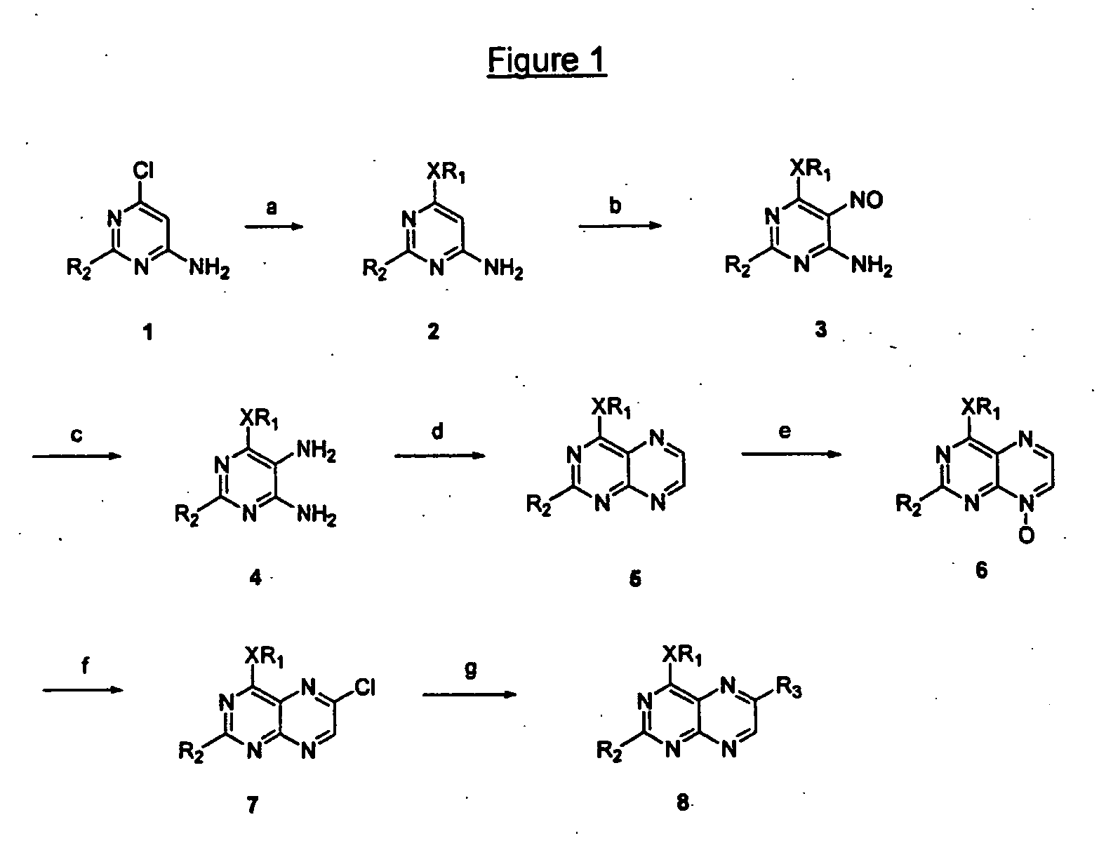 Immunosuppressive effects of pteridine derivatives