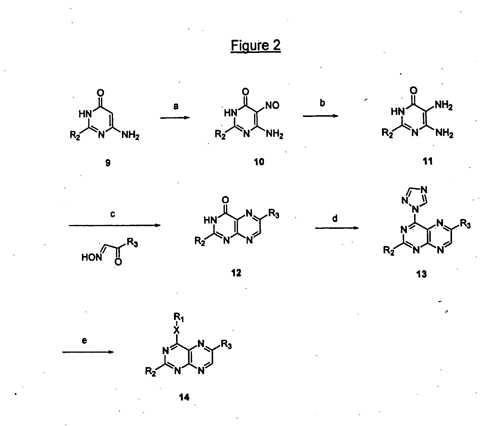 Immunosuppressive effects of pteridine derivatives