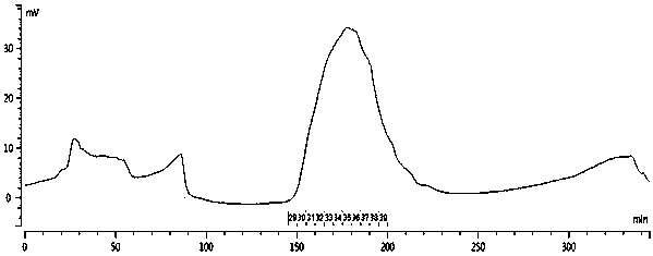 Acidic pseudo-ginseng polysaccharide and extraction-purification method thereof