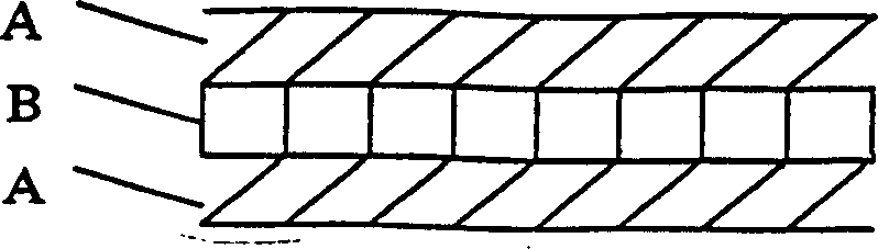 Nanometer degradable insulation package membrane and its production method