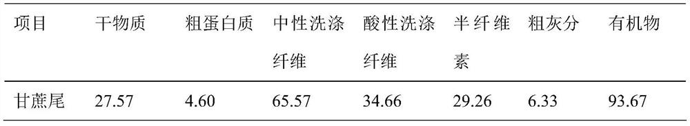 A kind of lactic acid bacteria combination preparation for sugarcane tail leaf silage and its application