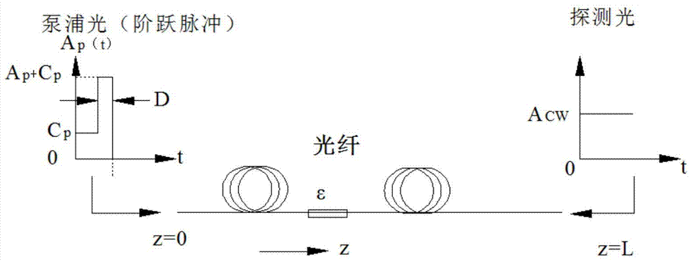 Multi-dimensional and multidirectional stress-strain monitoring system