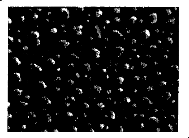 Preparation and use of phenylethylene block copolymer micro-nano microsphere