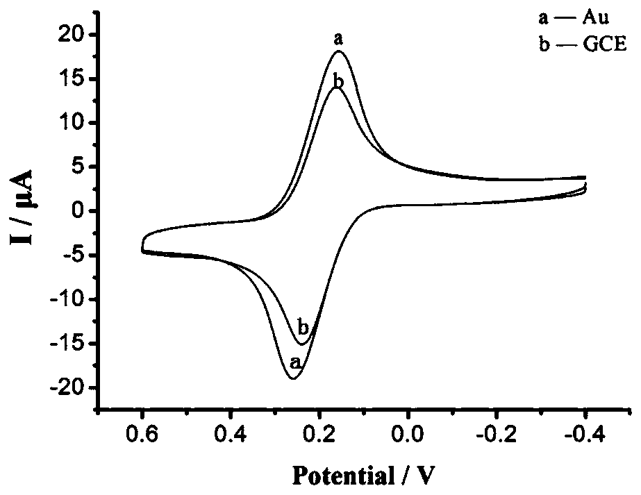 Electrochemical immunosensor, preparation method and application thereof