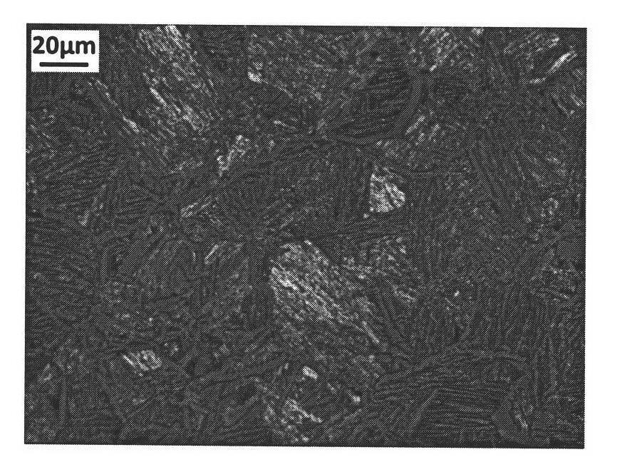 Method for preparing titanium alloy through high-speed pressing formation