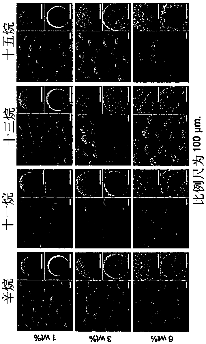 Injectable composition for skin tissue regeneration or skin tissue volume increase comprising hollow porous microspheres