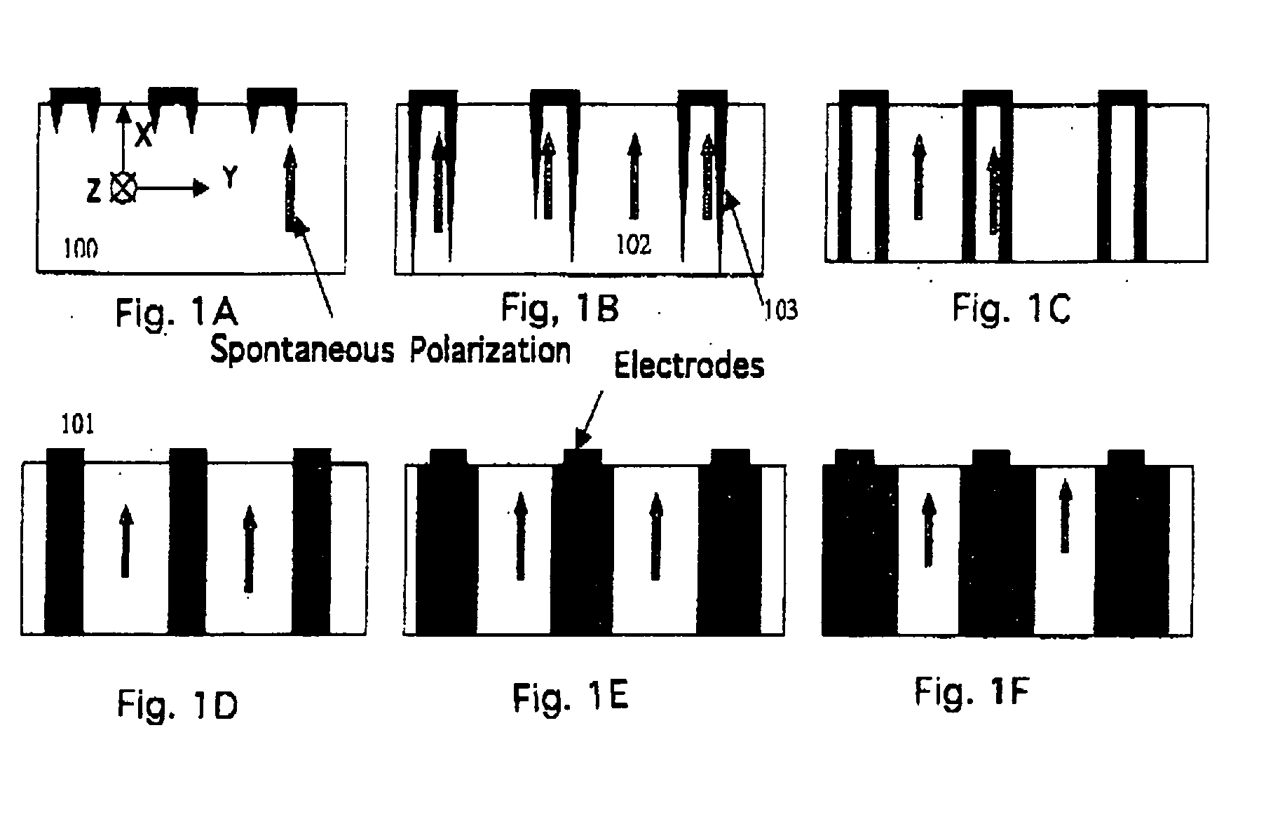 Method for the fabrication of periodically poled Lithium Niobate and Lithium Tantalate nonlinear optical components