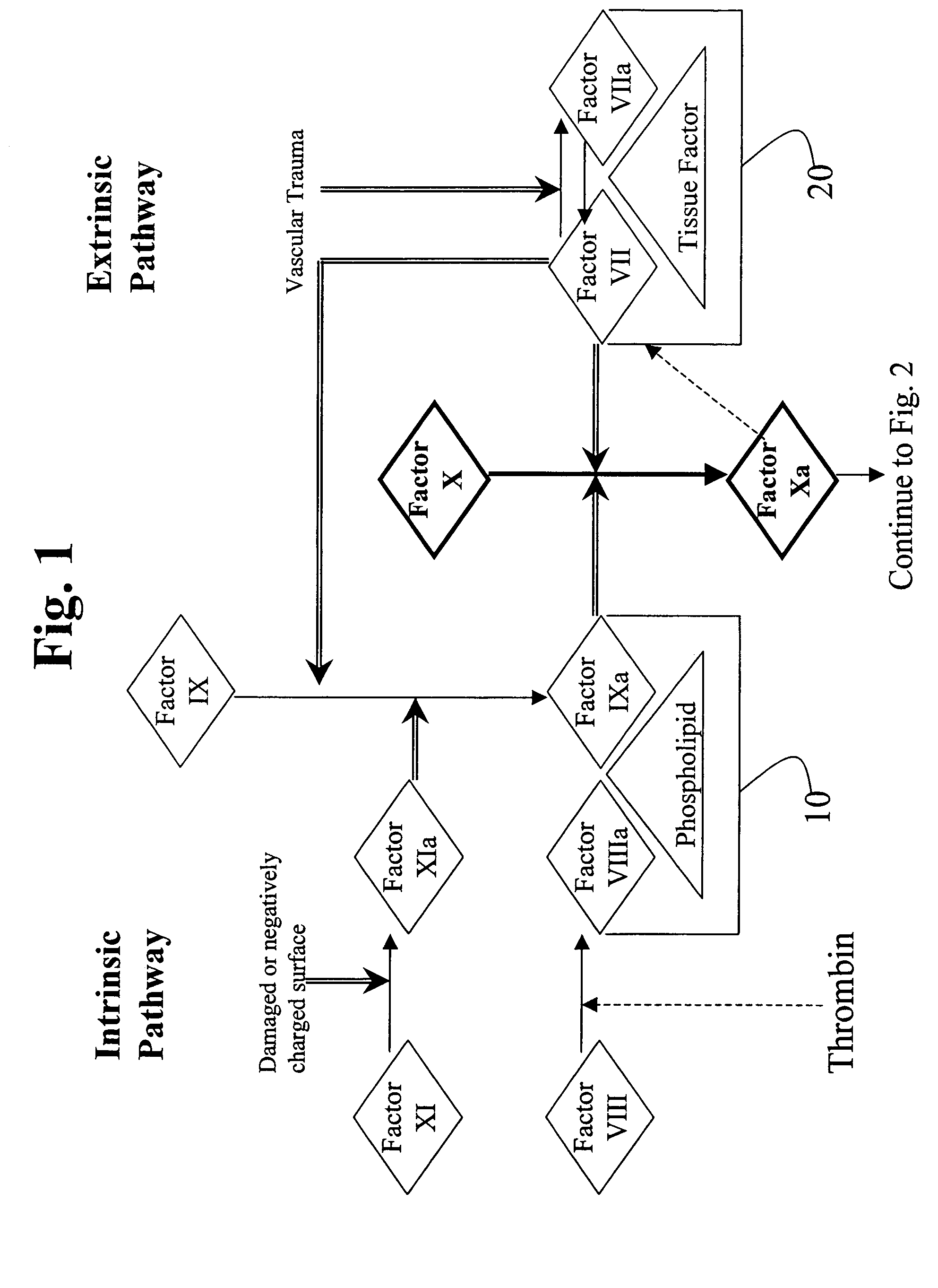 Aryl and heteroaryl compounds, compositions, and methods of use