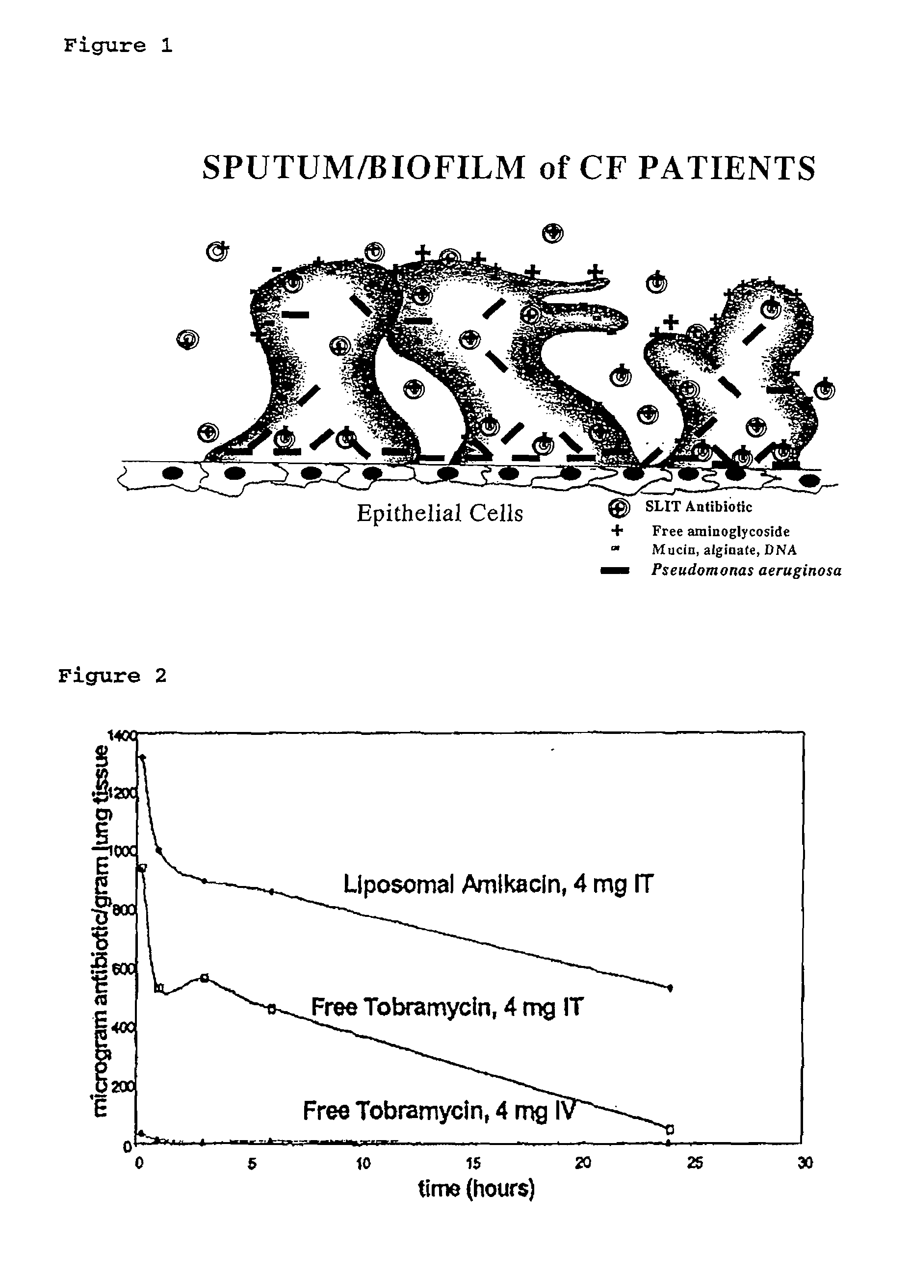 Sustained Release of Antiinfectives