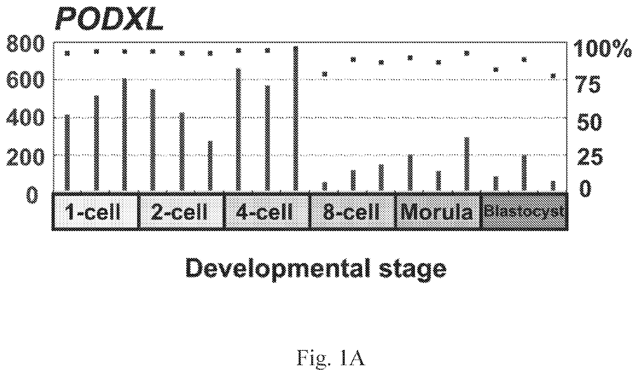 Methods for regulating potency of pluripotent stem cells and applications thereof