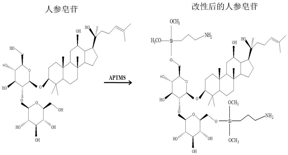 Constructing composite nanomedicine by coupling drug components with nanoparticles, preparation method and application