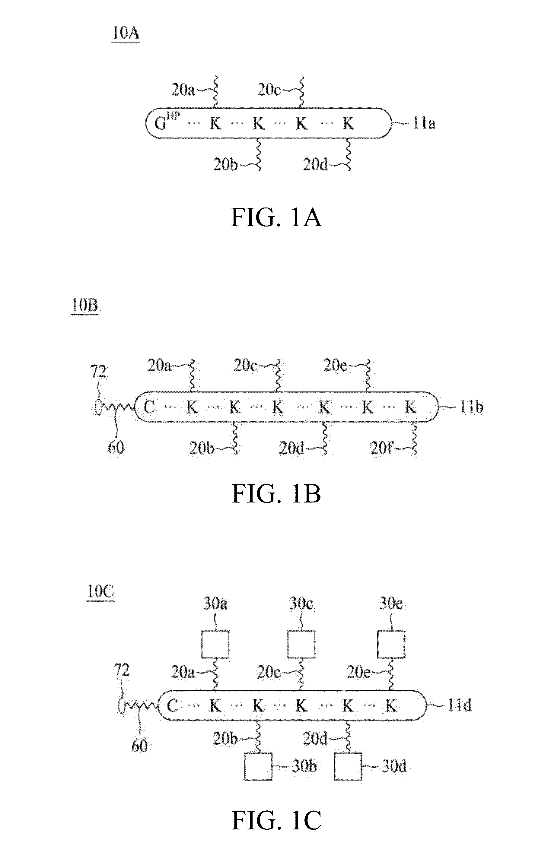 Molecular constructs with targeting and effector moieties