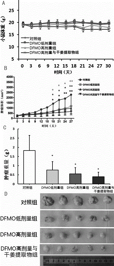 Application of DFMO (difluoromethylomithine) or DFMO and ginger extract combination in preparation of drugs for prevention and clinical treatment of esophagus cancer and liver cancer