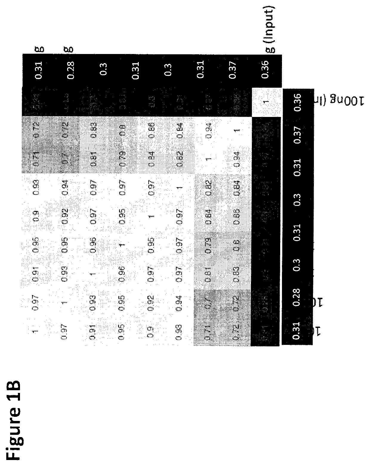 Cancer detection, classification, prognostication, therapy prediction and therapy monitoring using methylome analysis