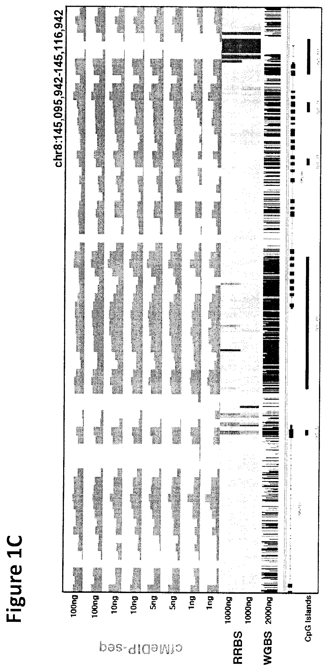 Cancer detection, classification, prognostication, therapy prediction and therapy monitoring using methylome analysis