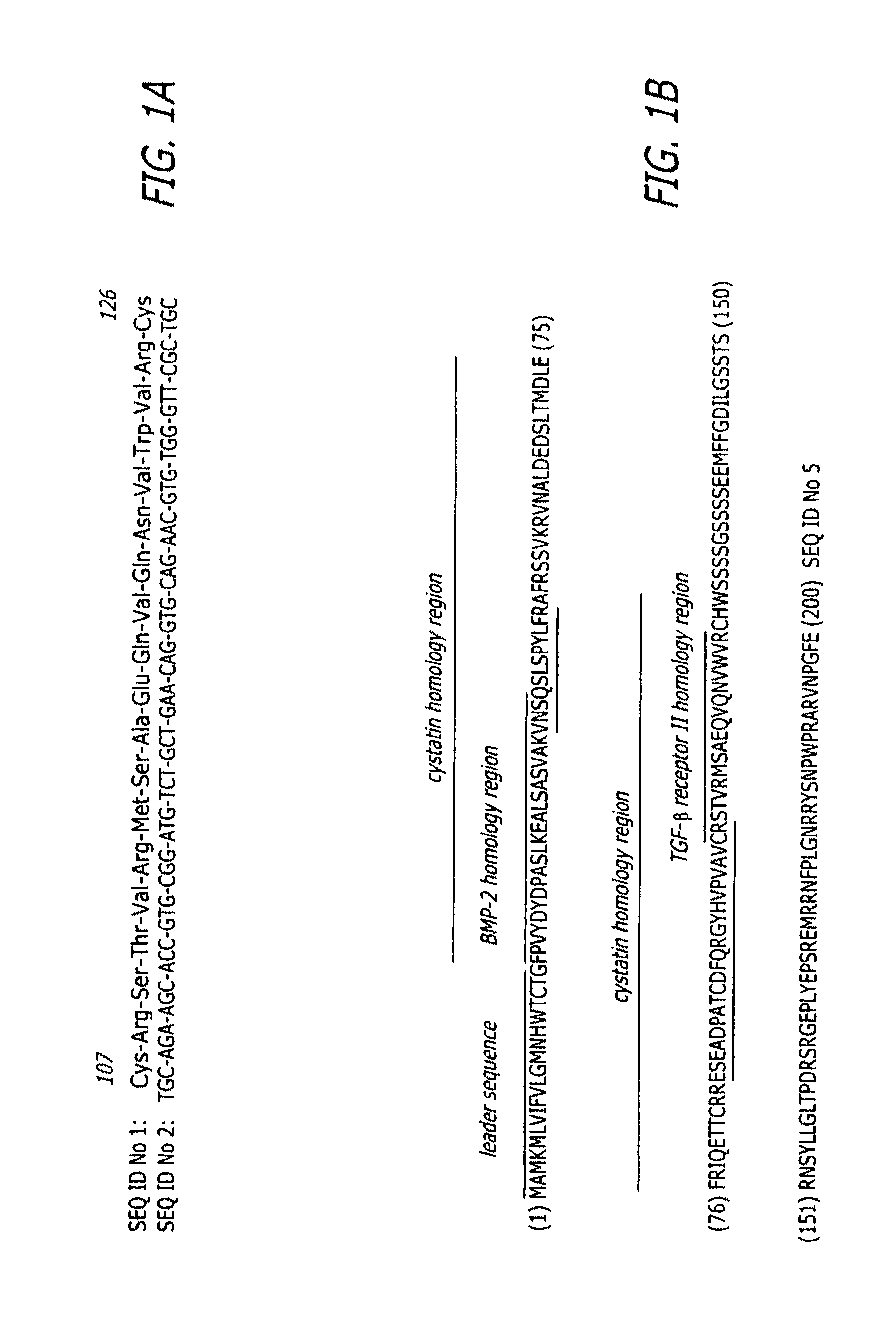 Bone morphogenic protein binding peptide