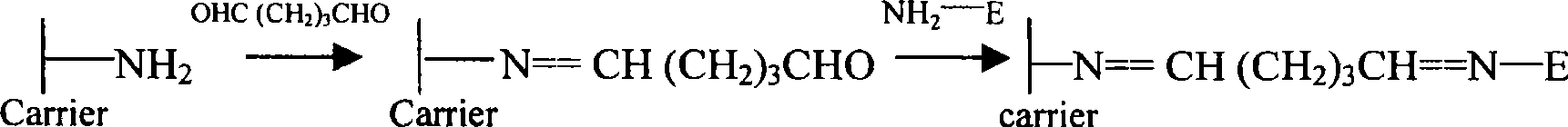 Preparation for magnetic fluid and chitosan magnetic micro-sphere