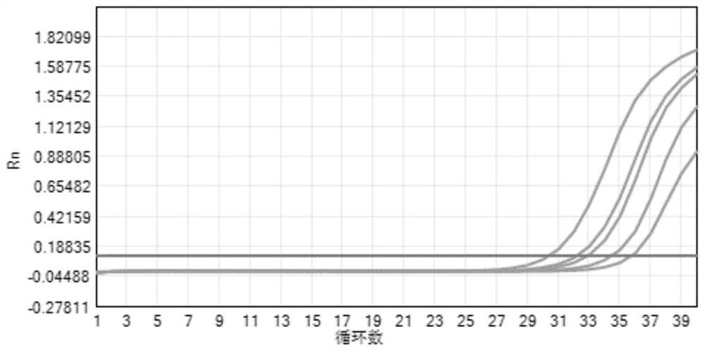 A novel coronavirus detection kit, application and method of use thereof