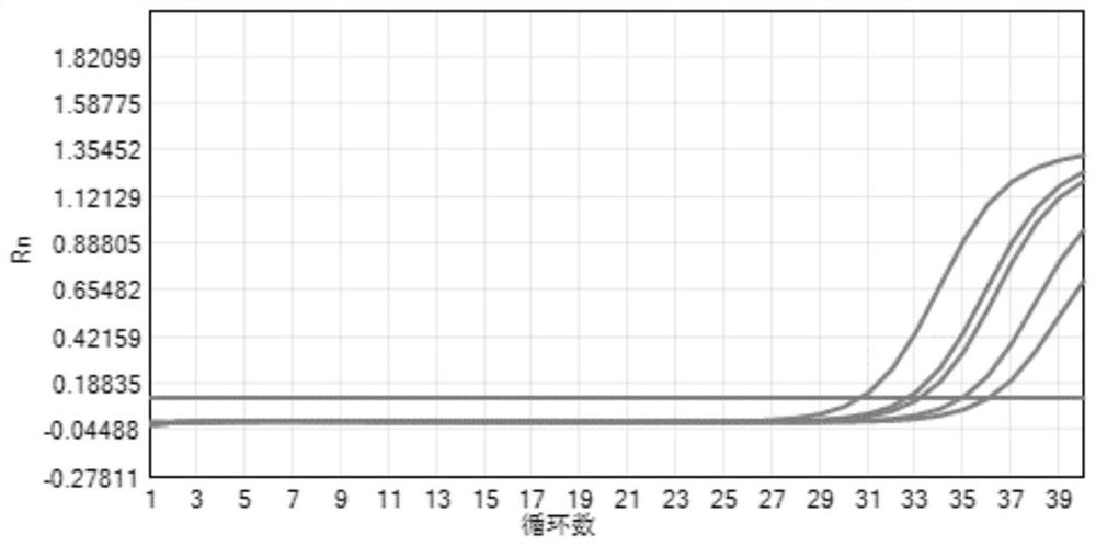 A novel coronavirus detection kit, application and method of use thereof