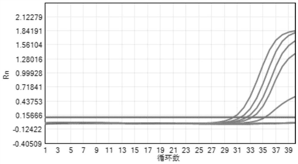 A novel coronavirus detection kit, application and method of use thereof