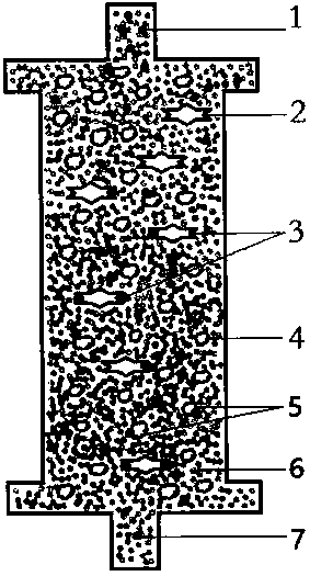 Maternal rh blood type incompatibility blood purification treatment instrument