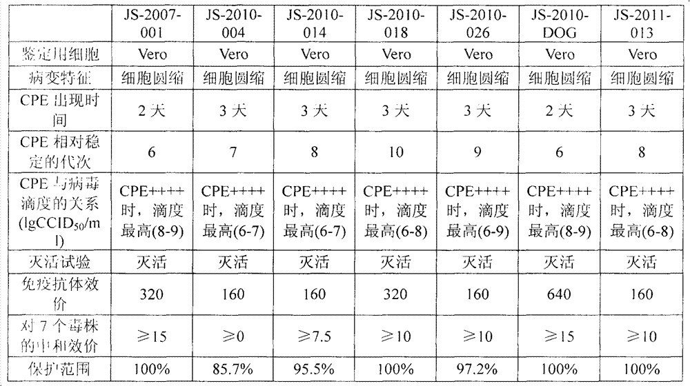 Preparation and application of an ELISA kit for detecting neobunia virus antigen